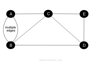 an example of multiple edges