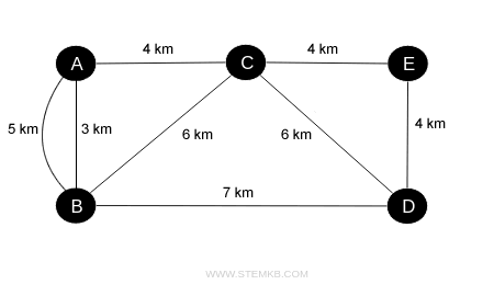 example of weighted multiple edges