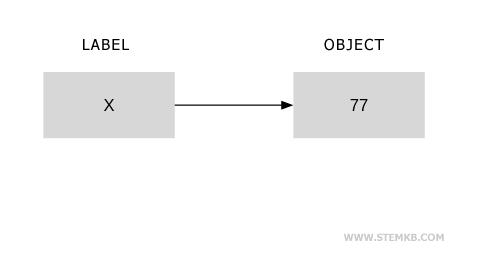 A case in point of label assignment to an object